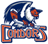 Bakersfield Condors