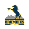 Brumbies