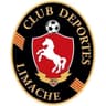 CD Limache