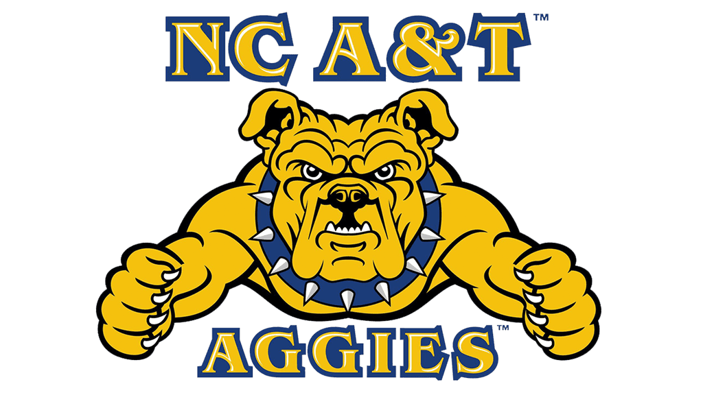 ncat icon
