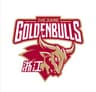 Zhejiang Golden Bulls