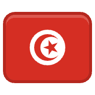 tun icon