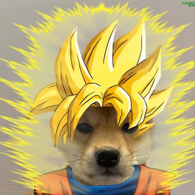 Will WIF hit $1 by March 15?