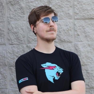 Will MrBeast change his X profile picture by December 31?