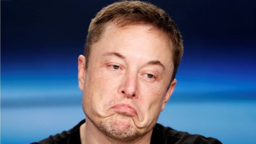 Musk out as Tesla CEO in 2025?
