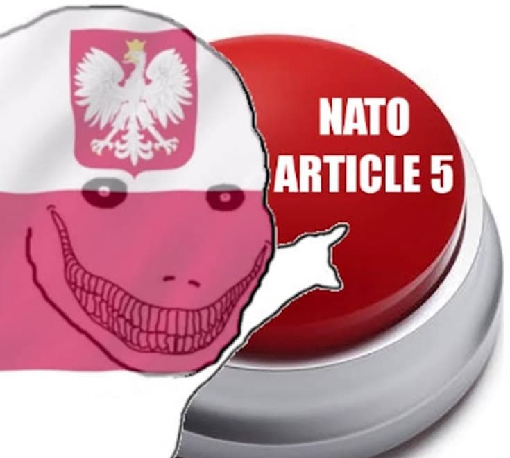 NATO article 5 by November 30?