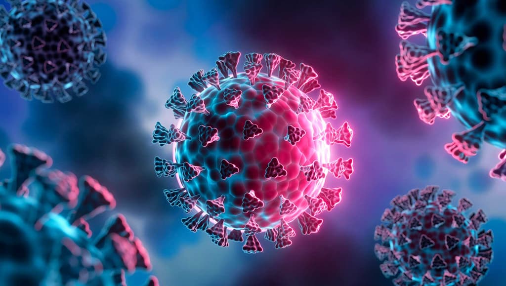 New pandemic before July?