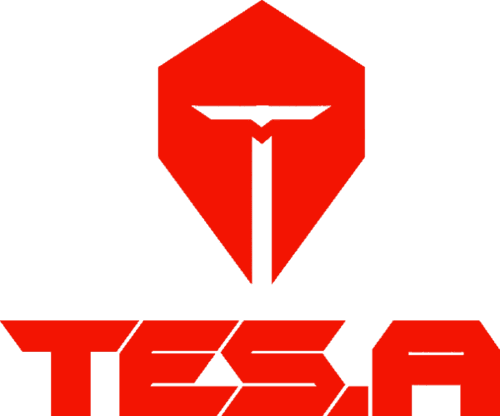 tesa icon