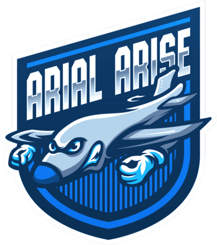 Arial Arise