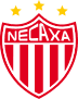 nec icon