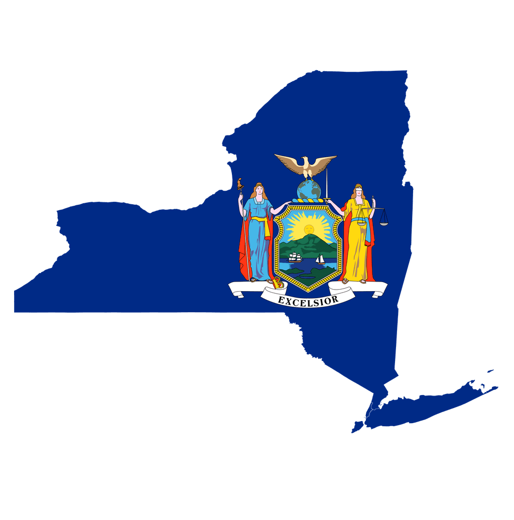 New York Democratic Governor Primary Winner
