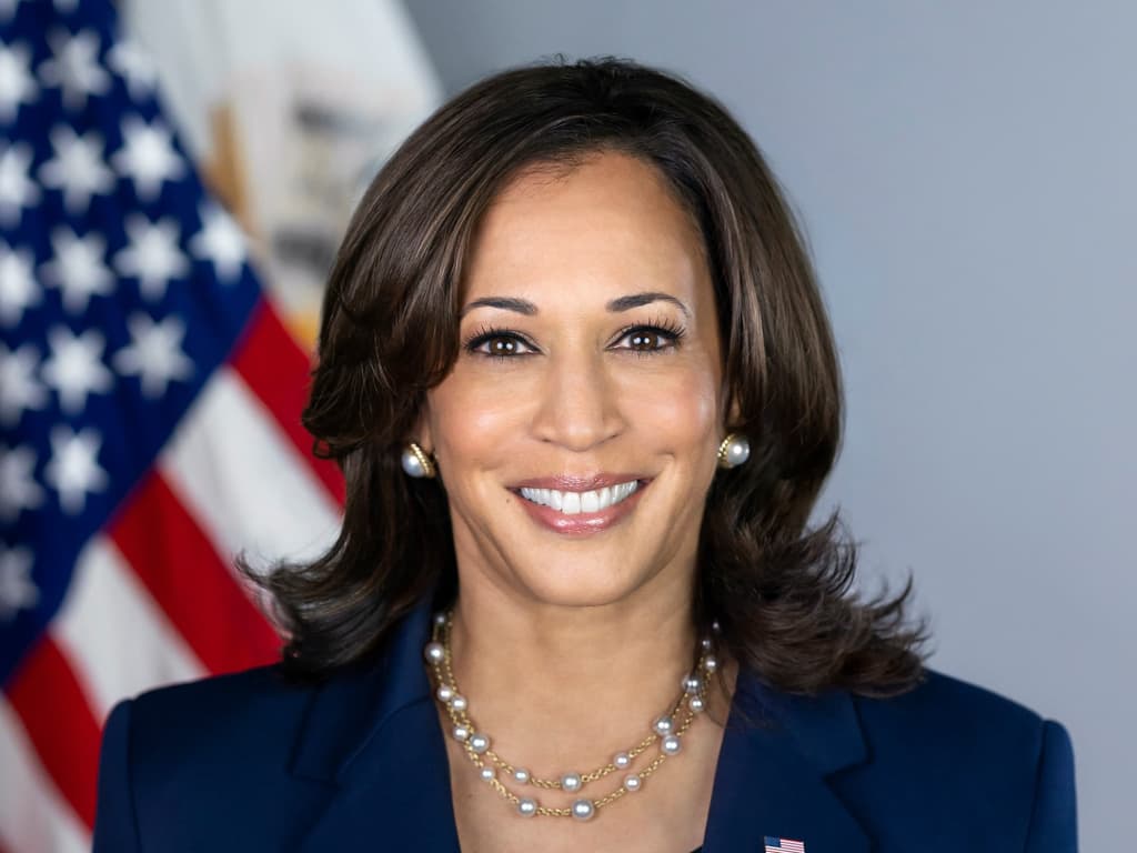 Will Kamala drop out in July?
