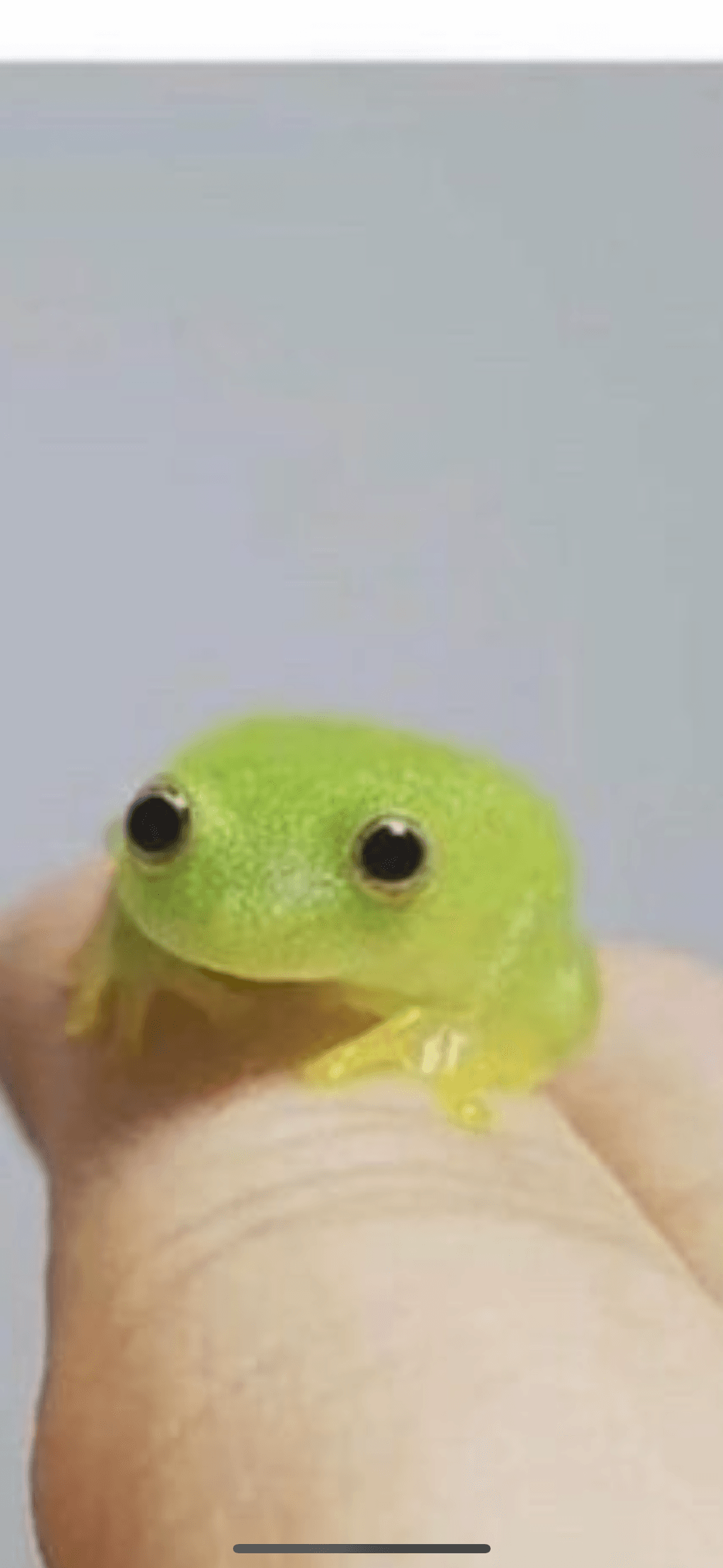 Toulouse FC vs. Olympique de Marseille: Both Teams to Score