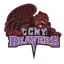 ccny icon