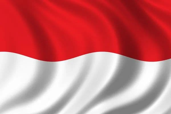 Indonesia Election: Prabowo Subianto wins?