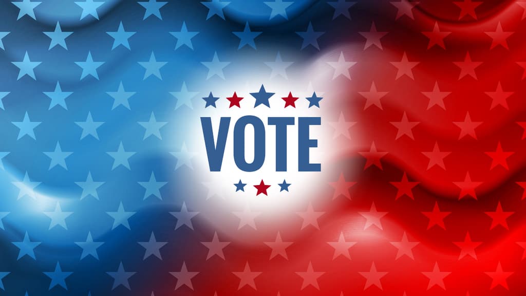 Popular Vote Winner 2024