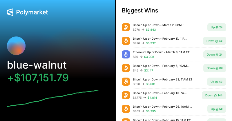 blue-walnut Polymarket profile