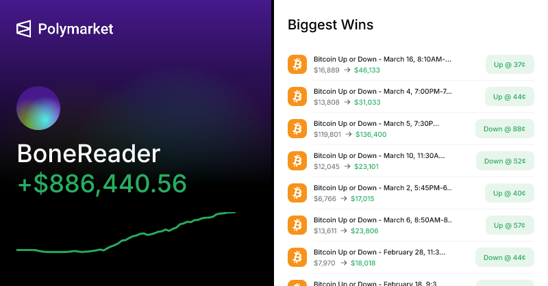 BoneReader Polymarket profile